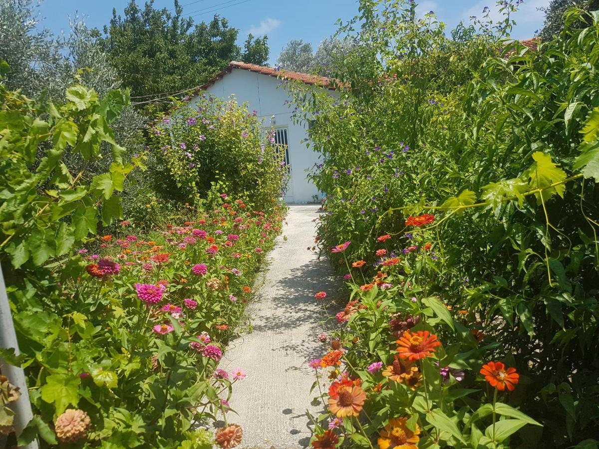 Pension Zoi Kolymbia Exteriér fotografie